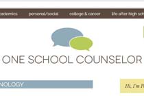 One School Counselor